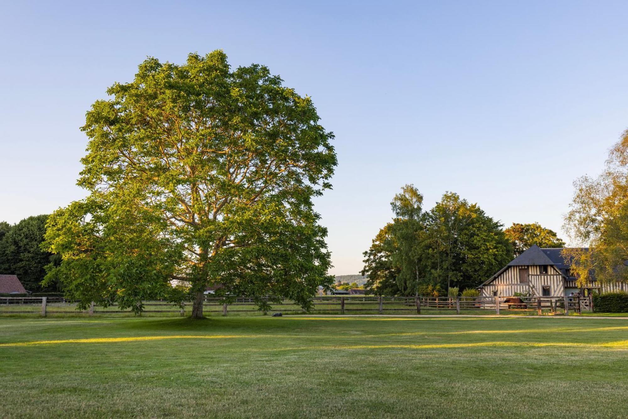 Maison "Jardin Gaillard" Bieville-en-Auge エクステリア 写真