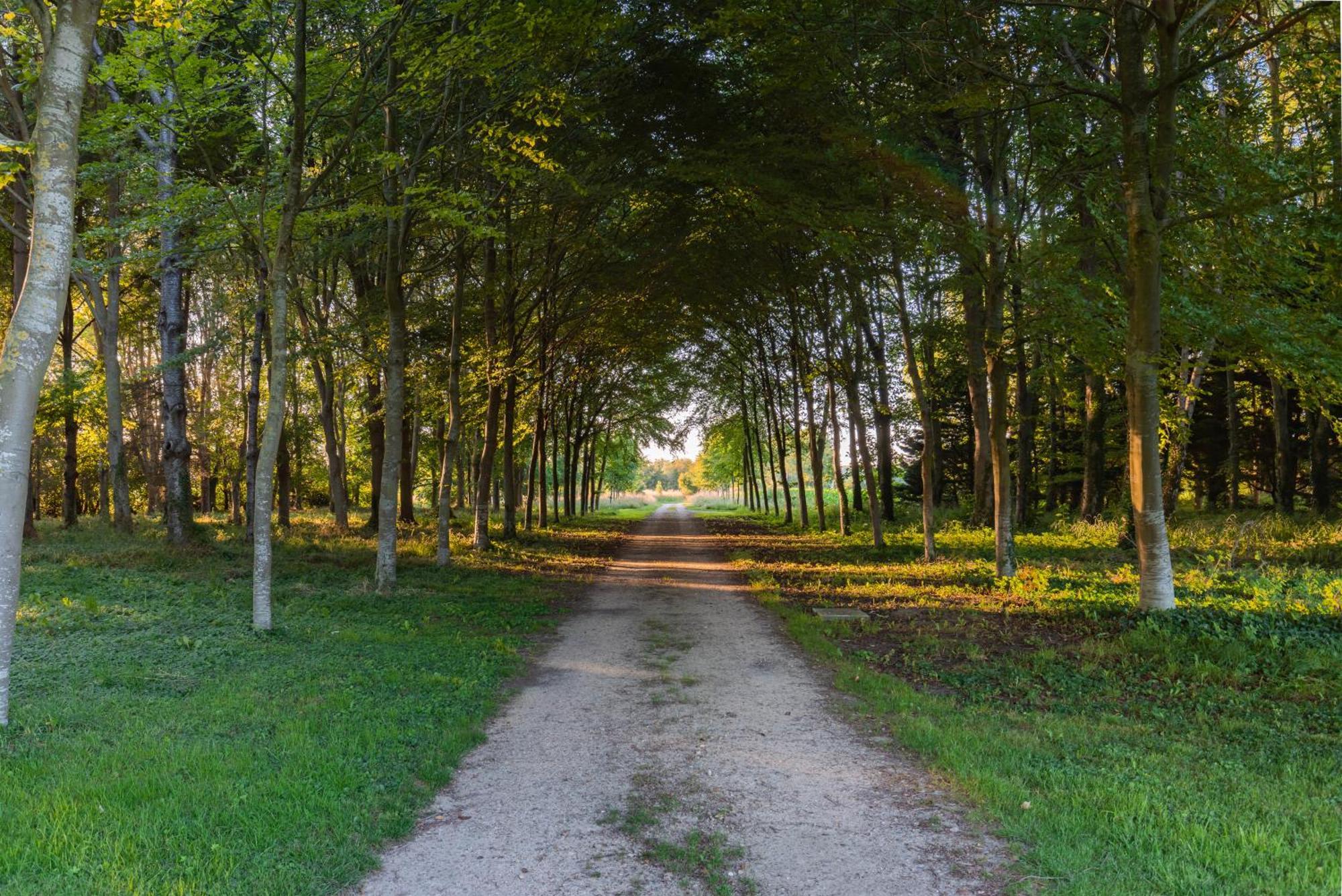 Maison "Jardin Gaillard" Bieville-en-Auge エクステリア 写真