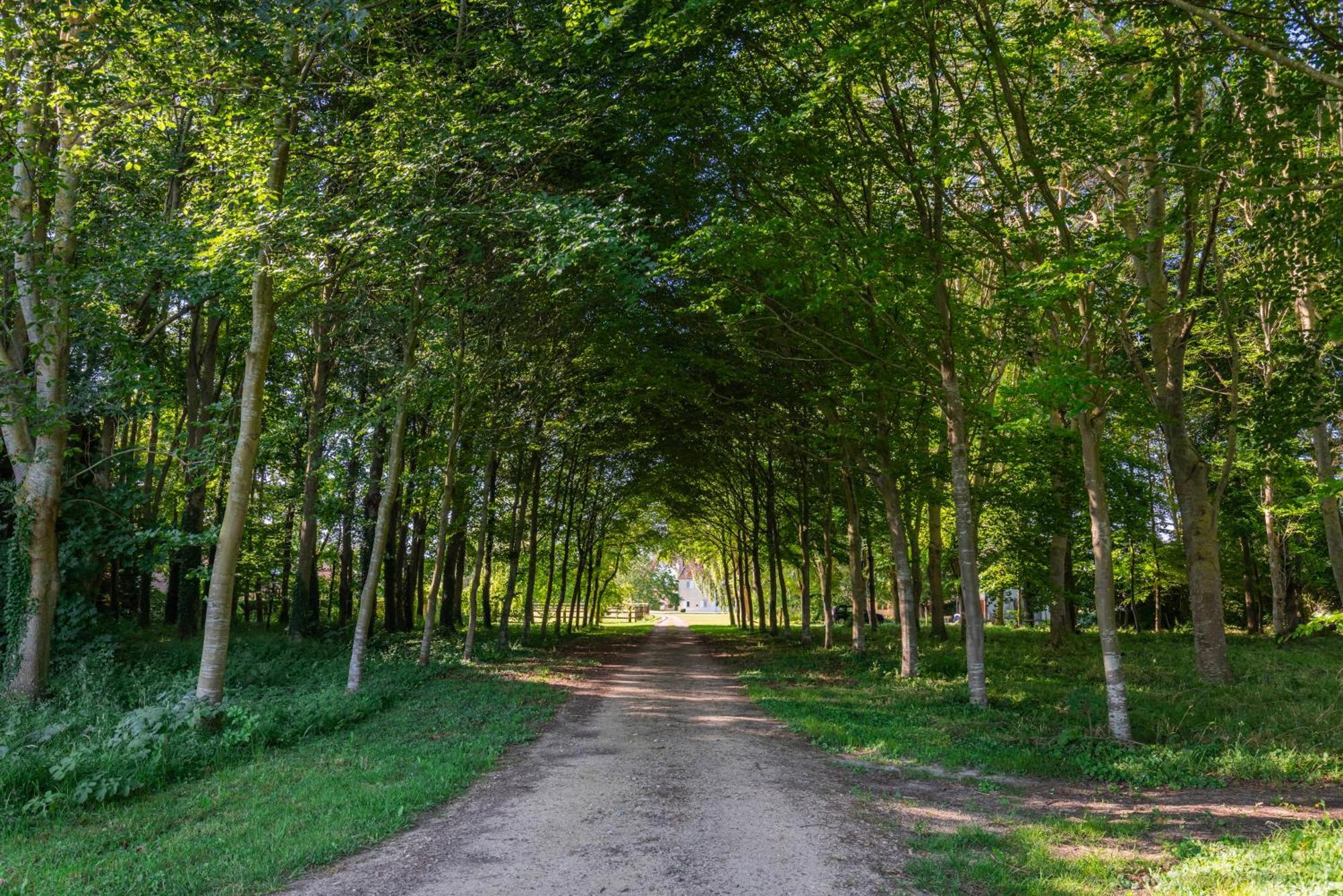 Maison "Jardin Gaillard" Bieville-en-Auge エクステリア 写真