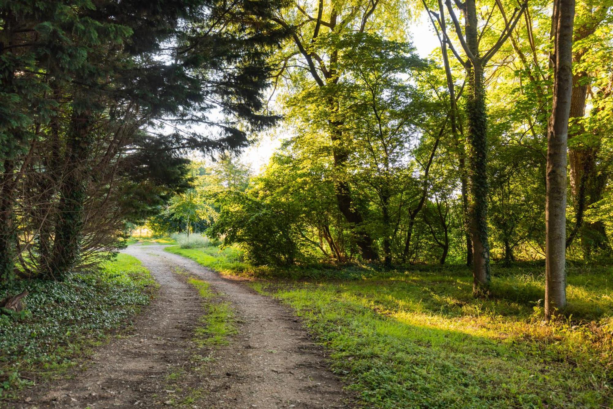 Maison "Jardin Gaillard" Bieville-en-Auge エクステリア 写真