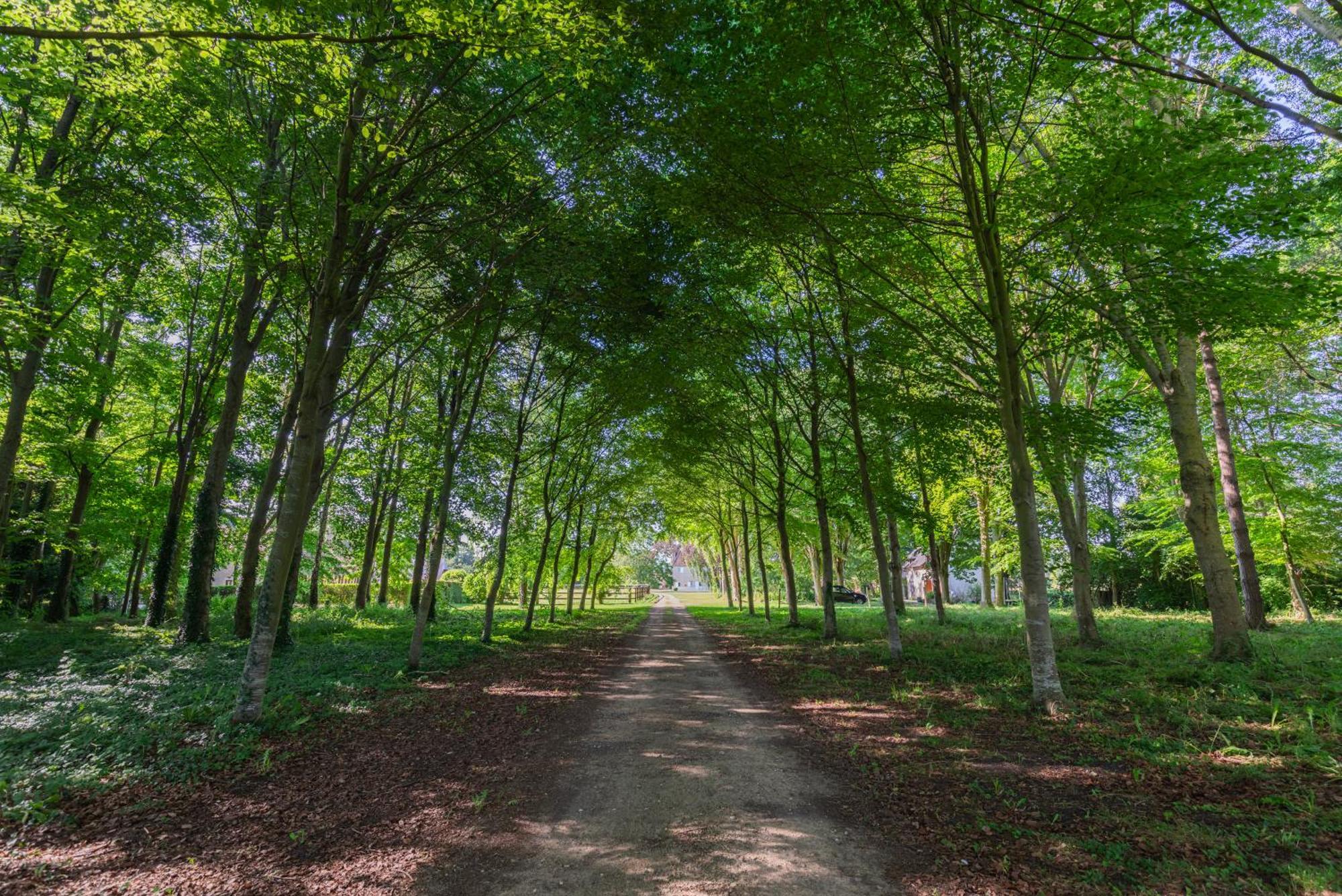 Maison "Jardin Gaillard" Bieville-en-Auge エクステリア 写真